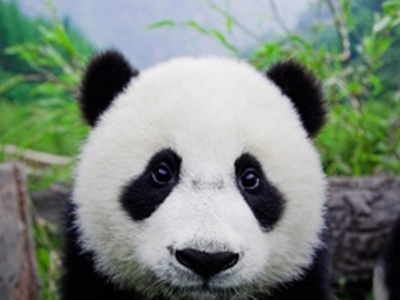 58ca12d496dee4a9e9f46df8uteppM7U