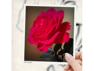 哈喽的其他游戏直播间-哈喽视频-网易CC直播