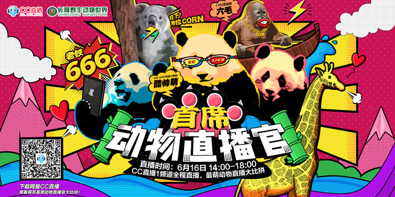 CC直播史上最萌的主播签约