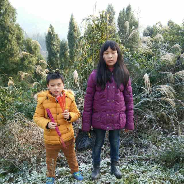 时空小涵我的世界《冰火龙界》05 孵出龙蛋小