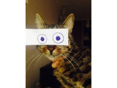 59f410a17f9d2a9660aee235rTlBiXQz