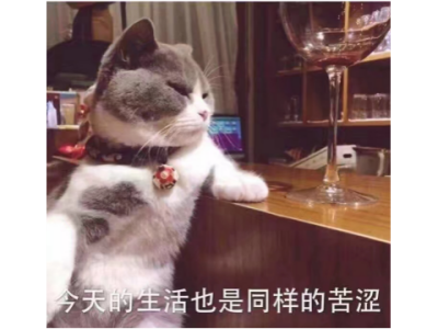 少允 猫鱼 招大哥的决战!平安京直播间_少允 猫