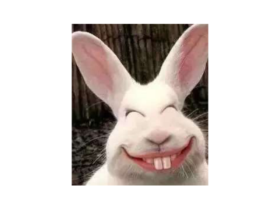 【荒野183】兔子精的荒野行动PC版直播间_【