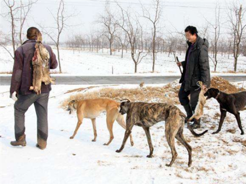 【微笑】老顽童的户外直播直播间_【微笑】老