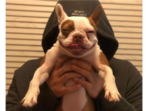 小懒猪陈的逆水寒直播间_小懒猪陈视频直播 -