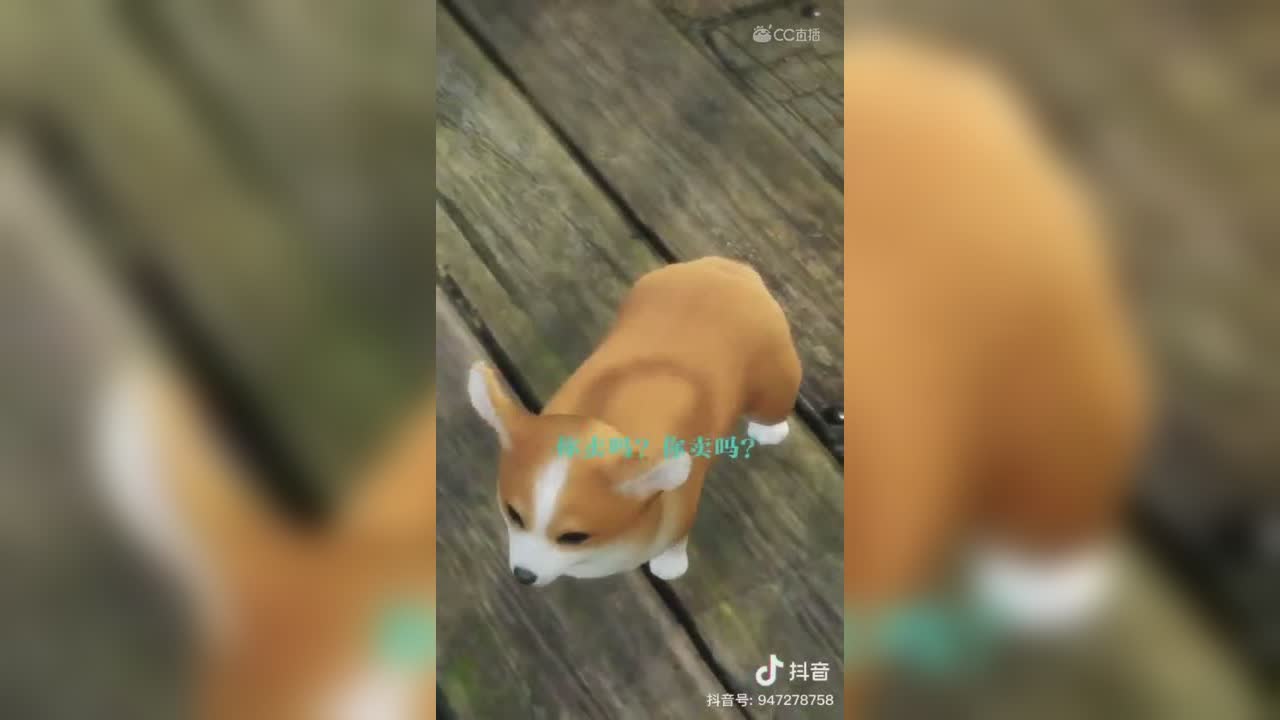 视频封面