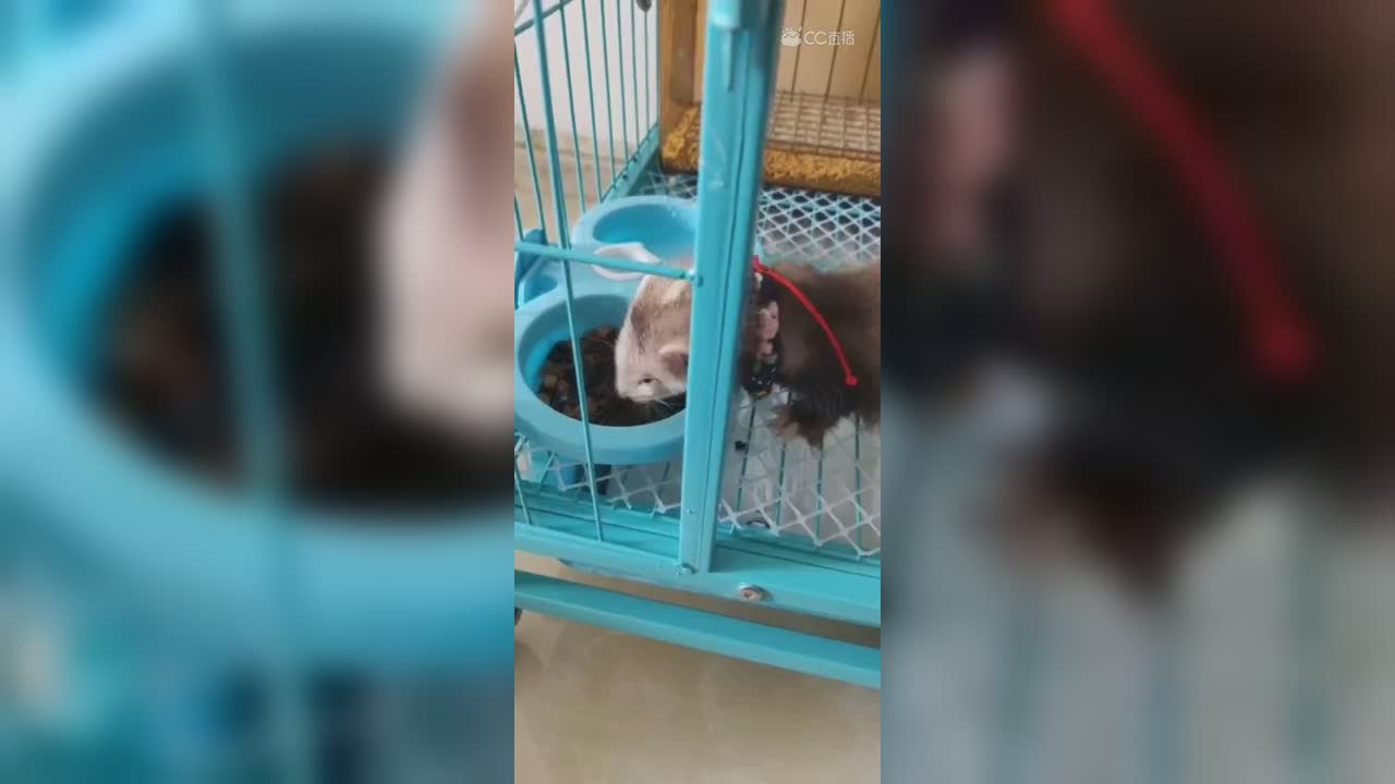 视频封面