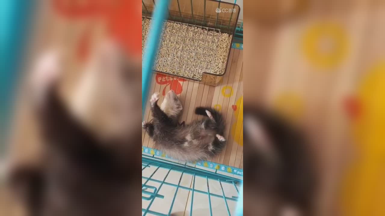 视频封面