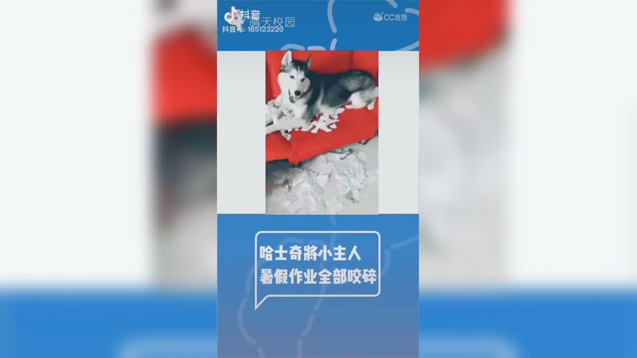 视频封面