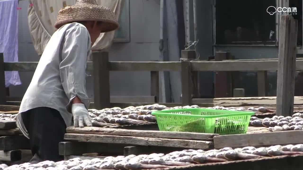 香港食物:大澳村的干咸鱼-mp4