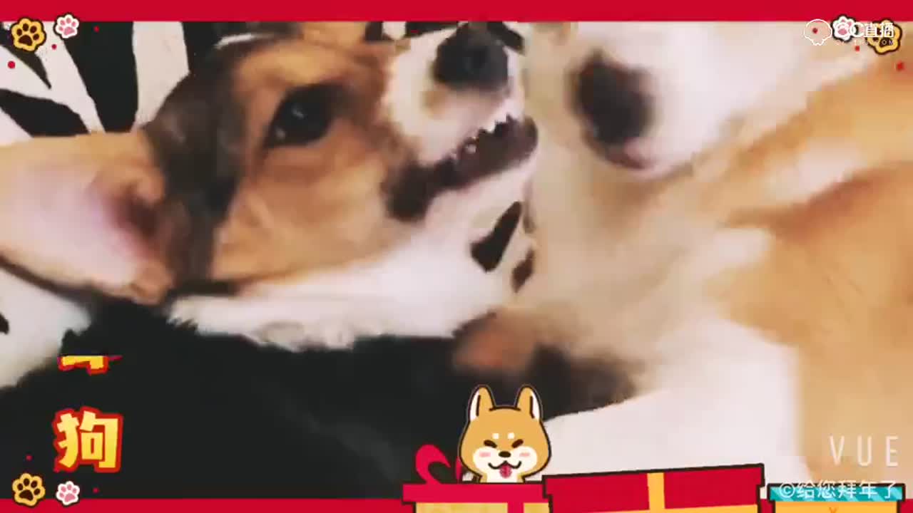 视频封面