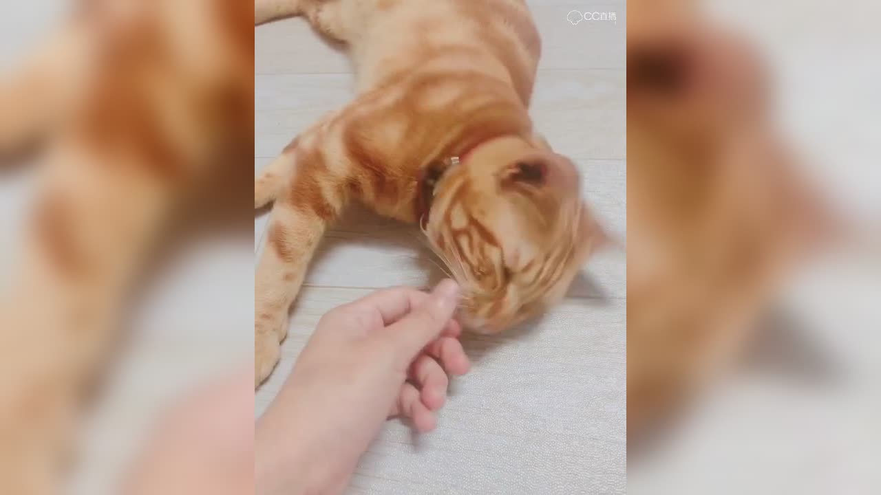 视频封面