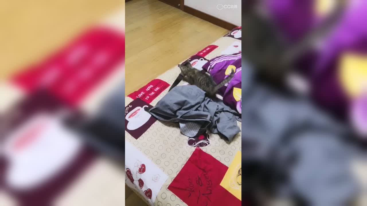 视频封面