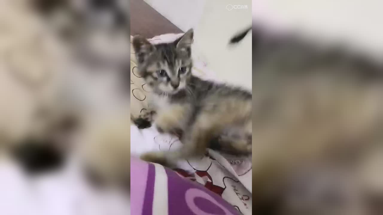 视频封面