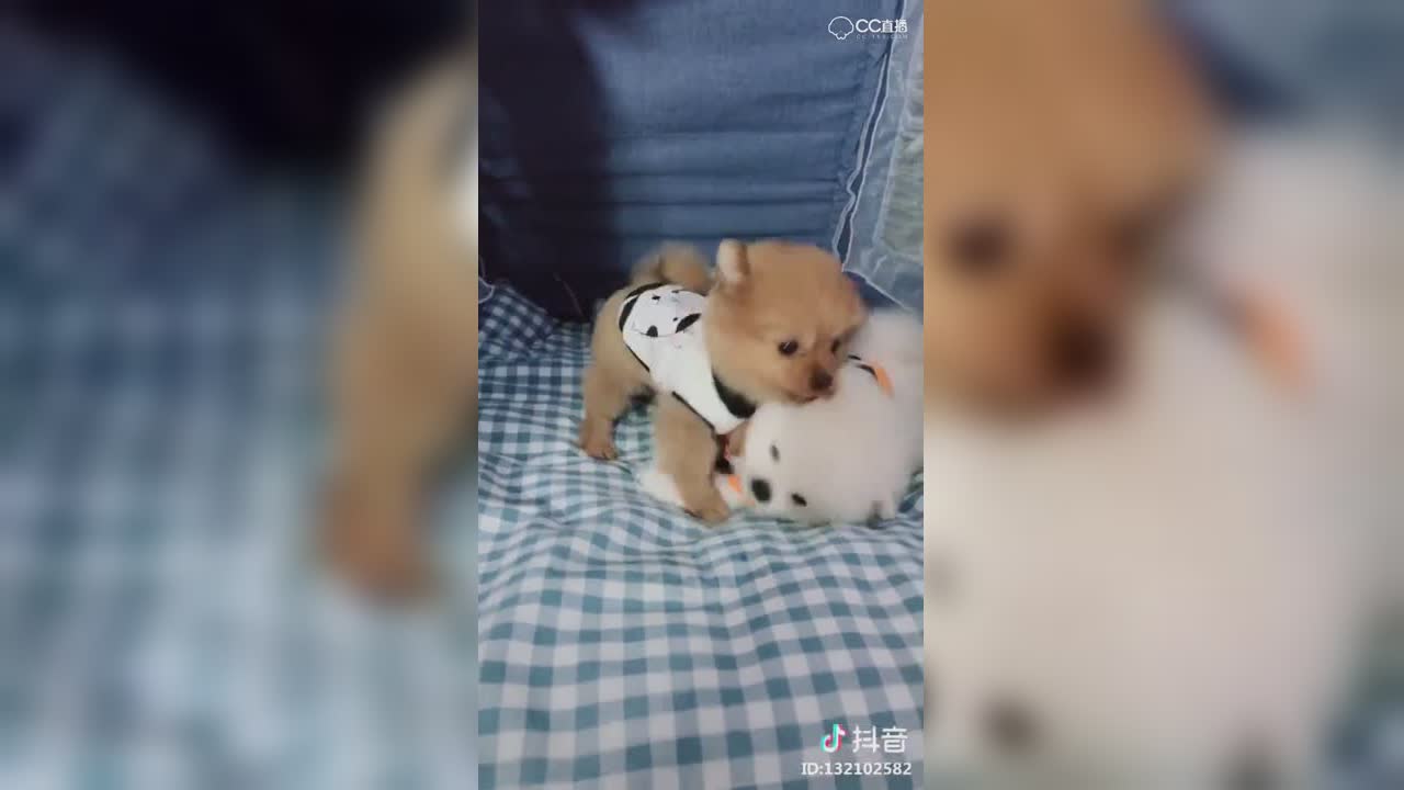 视频封面