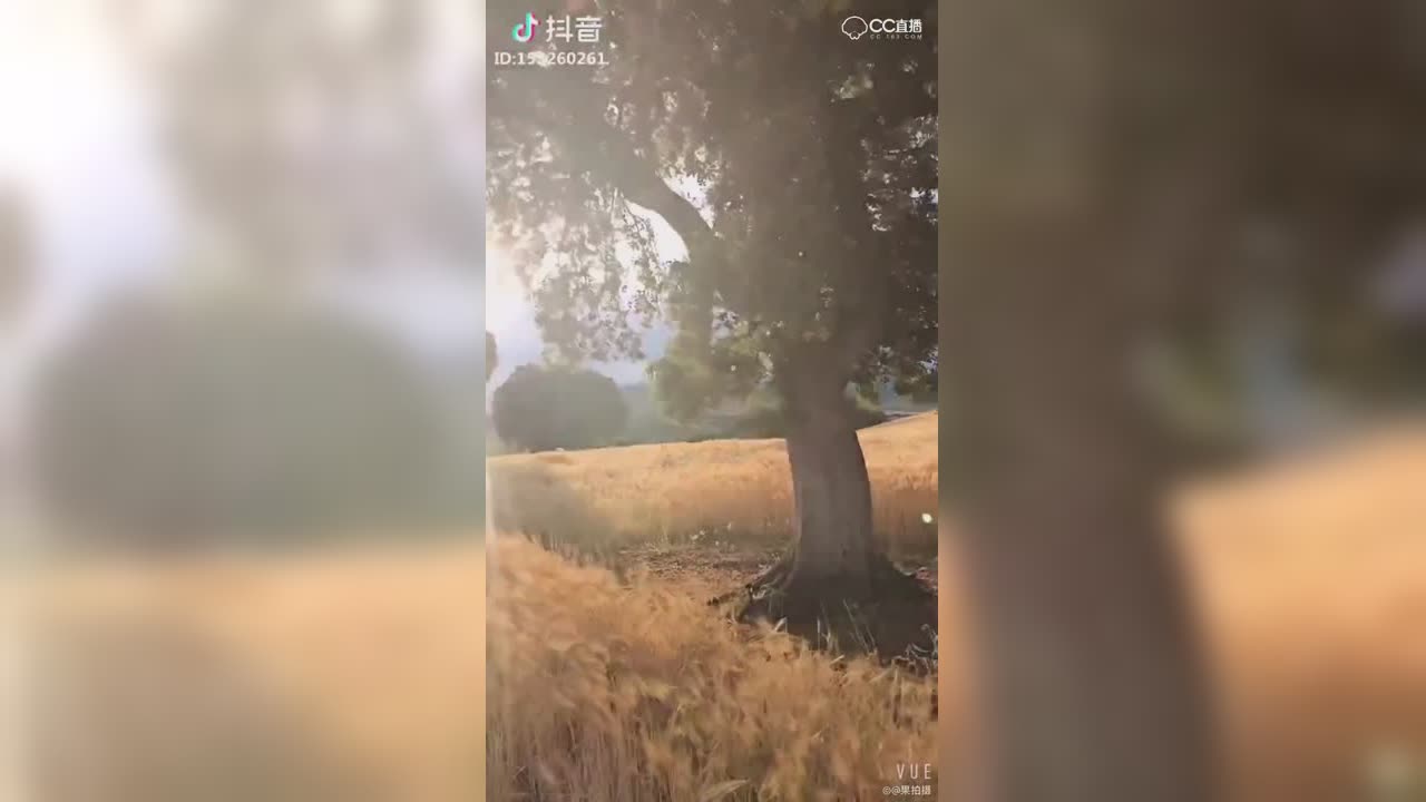 视频封面