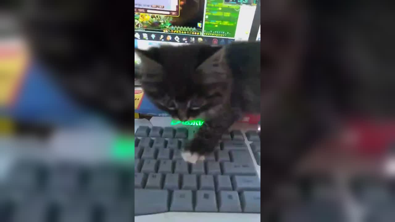 视频封面