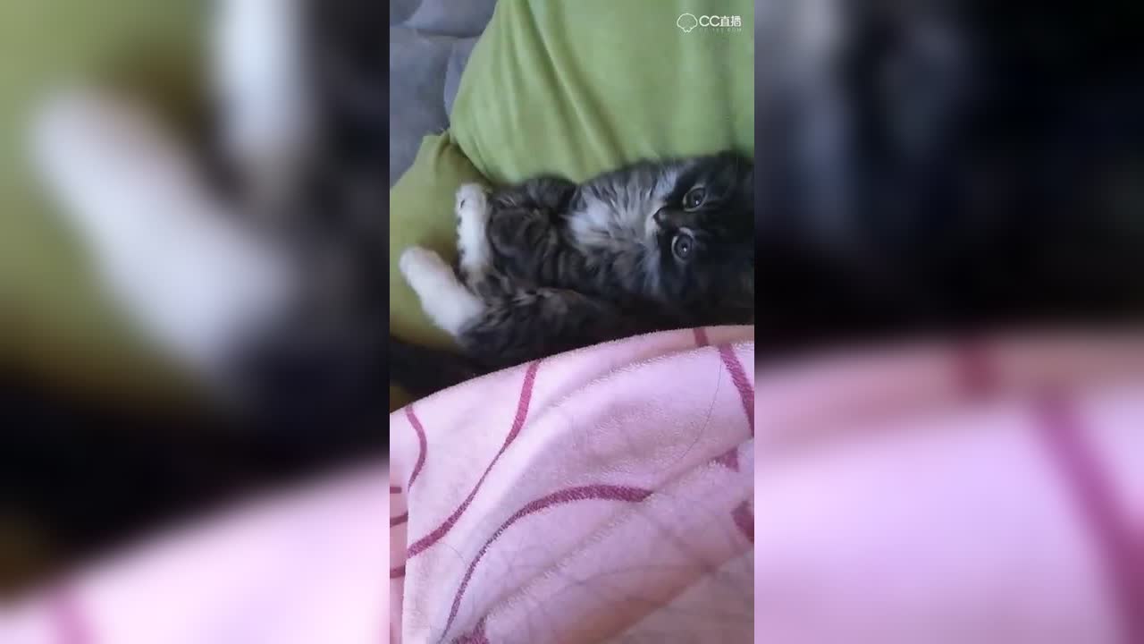 视频封面