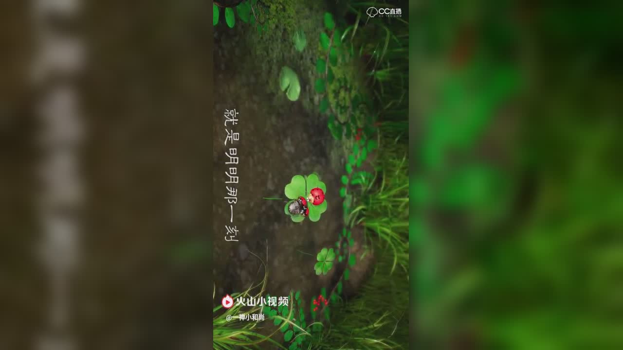 视频封面