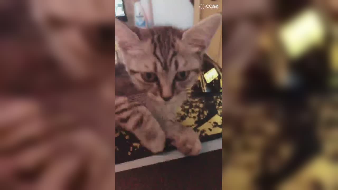 视频封面