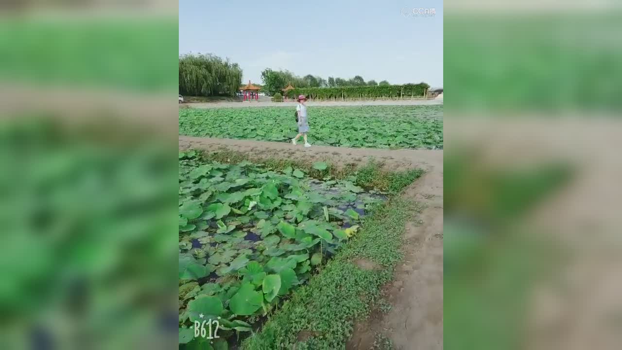 视频封面