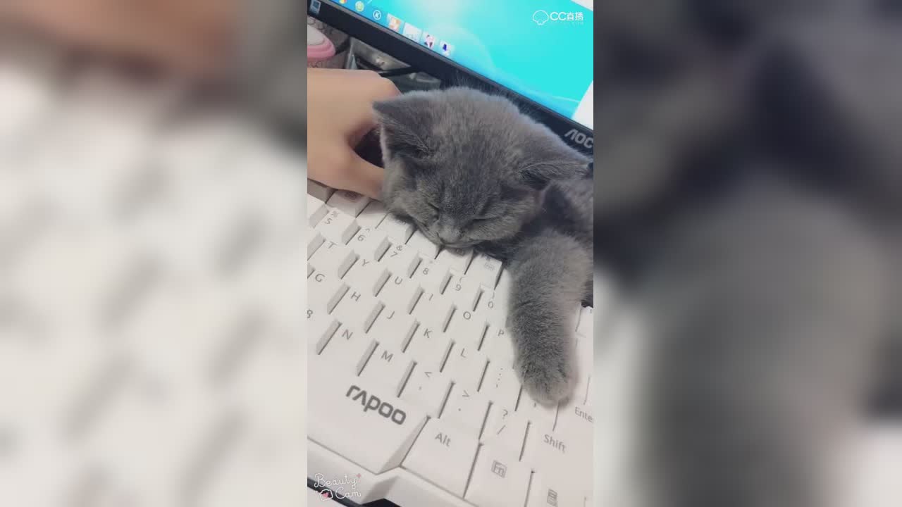 视频封面