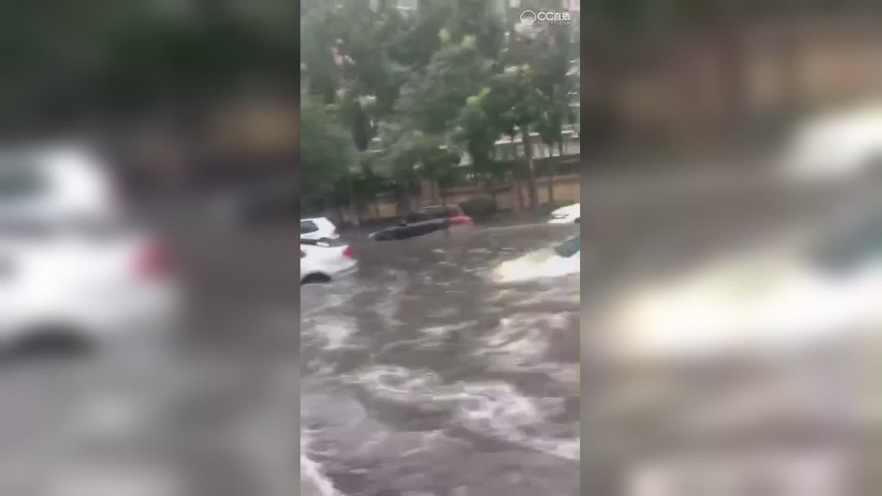 视频封面