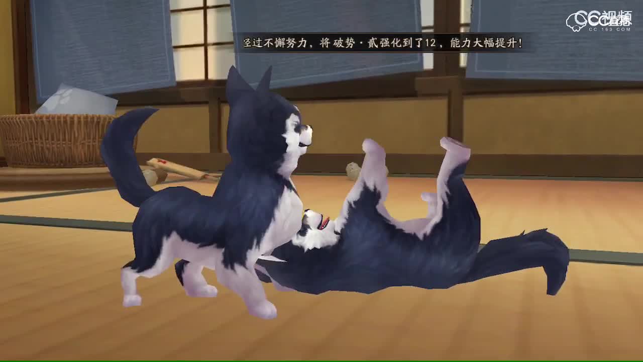 视频封面