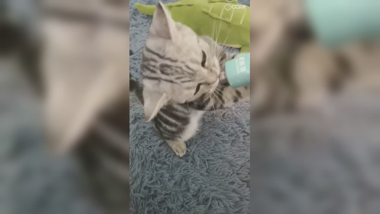 视频封面