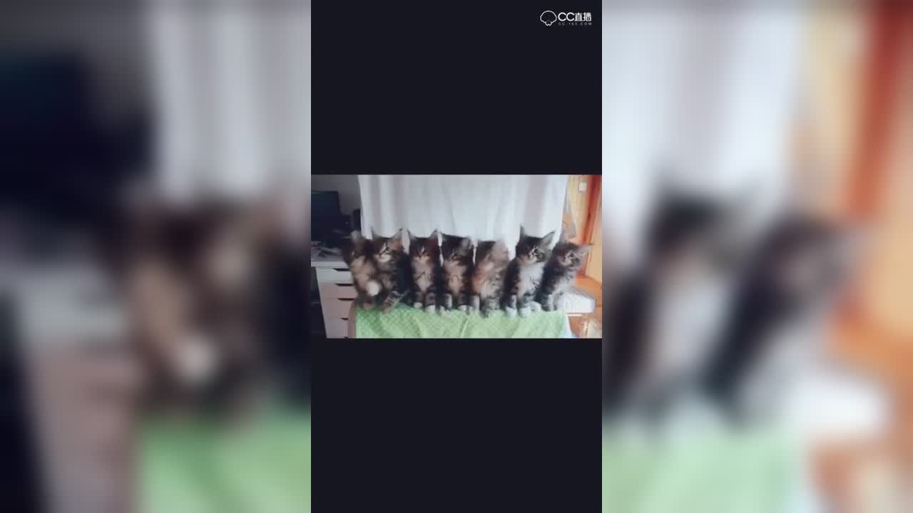 视频封面