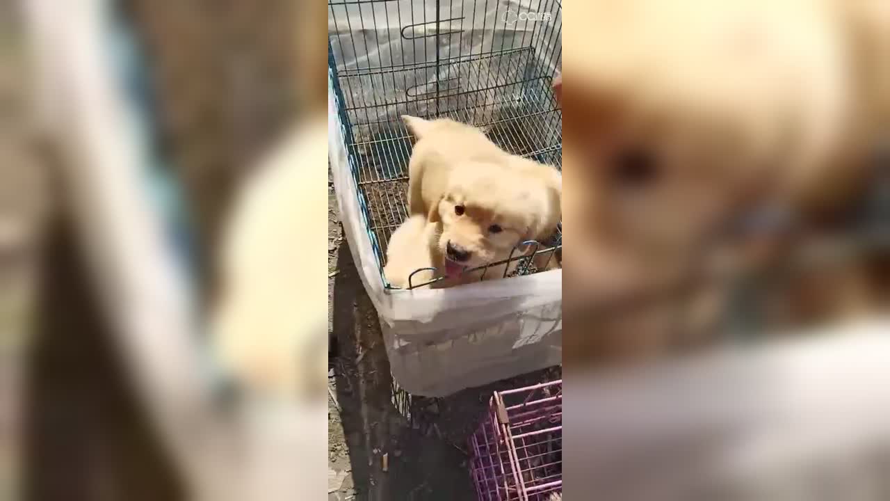 视频封面
