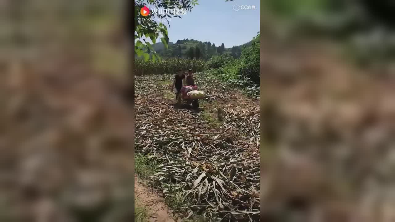 视频封面