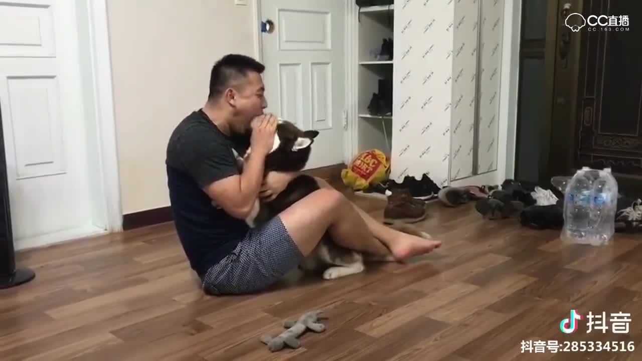 视频封面