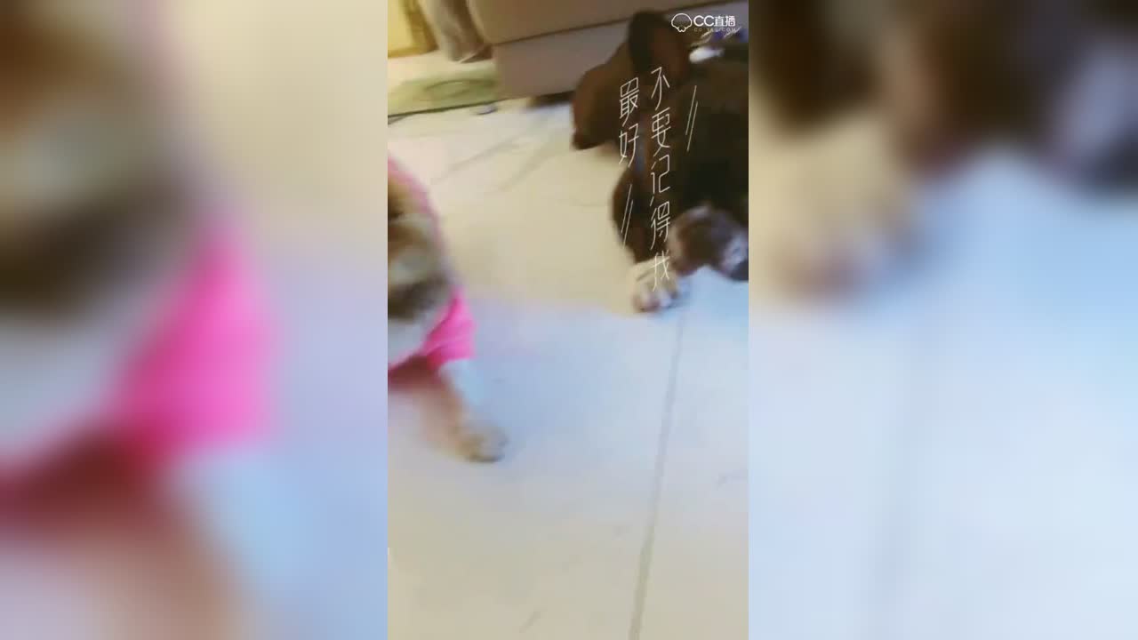 视频封面
