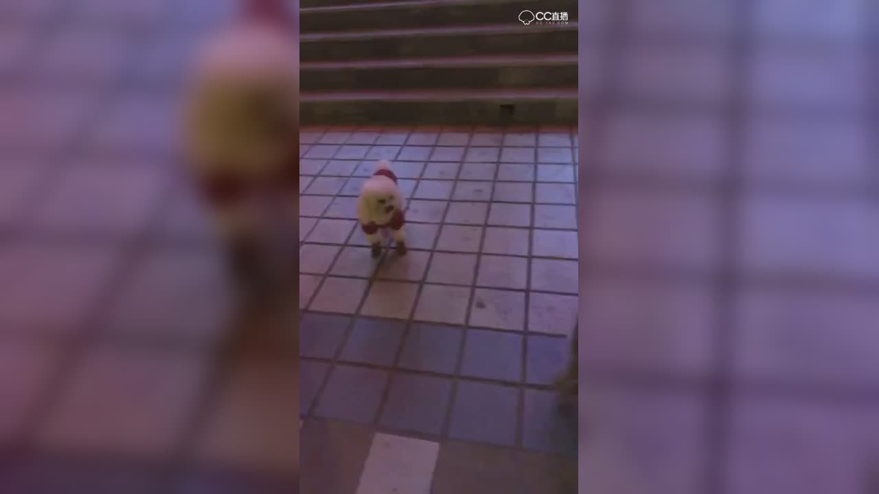 视频封面