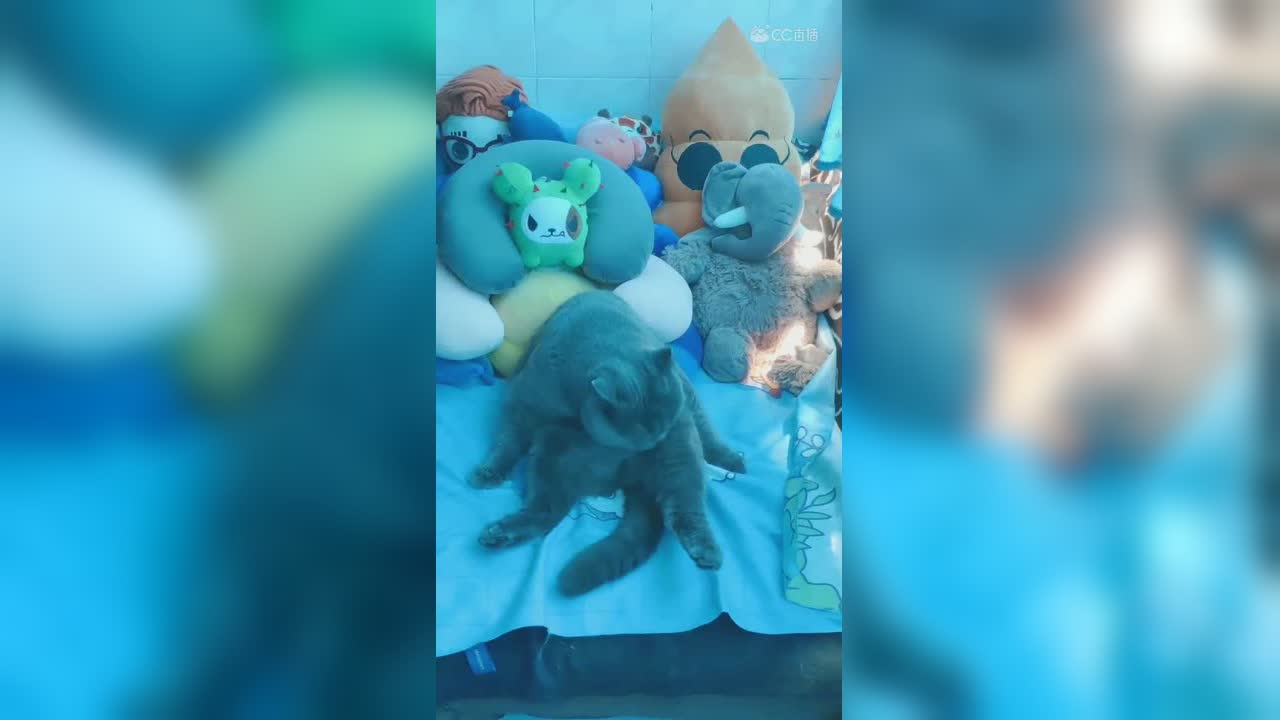 视频封面