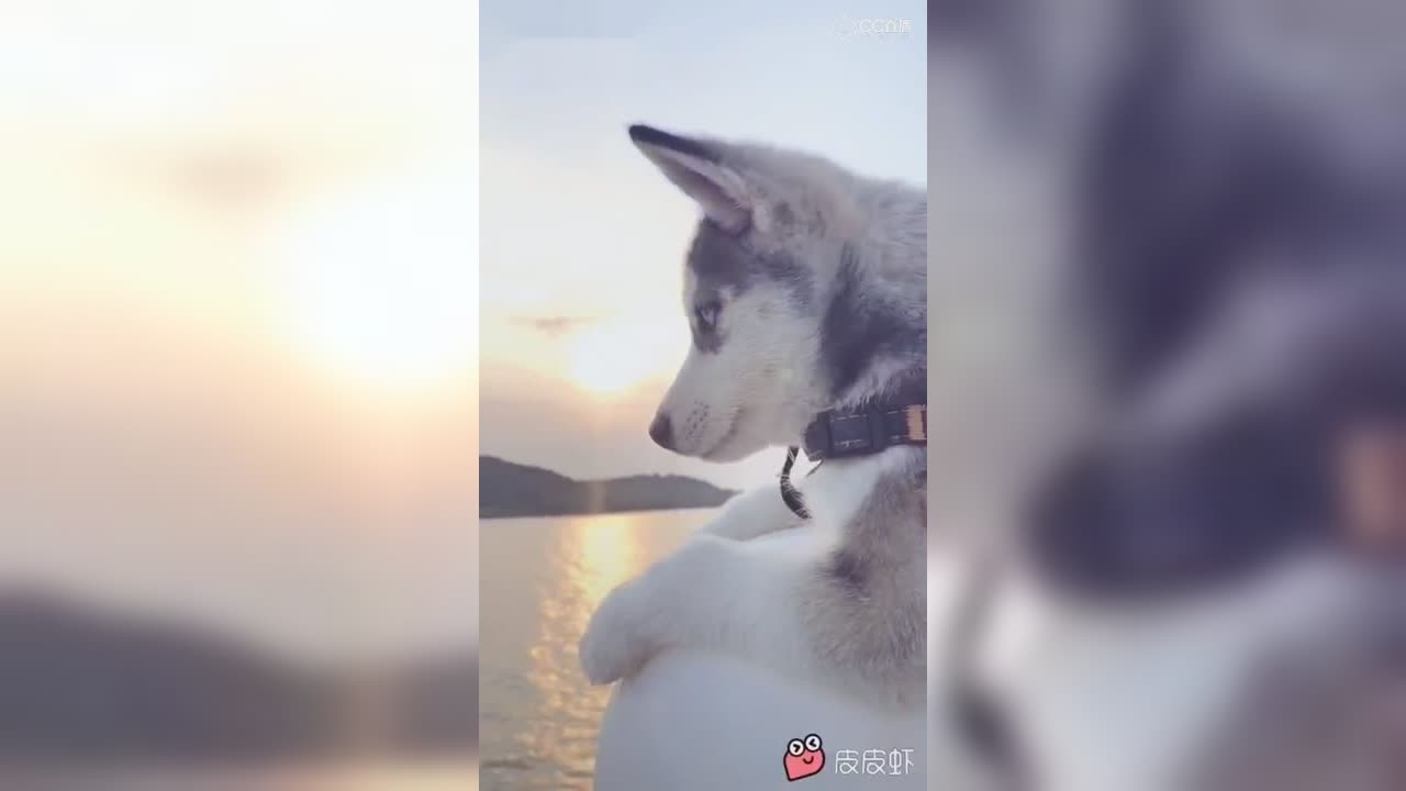 视频封面