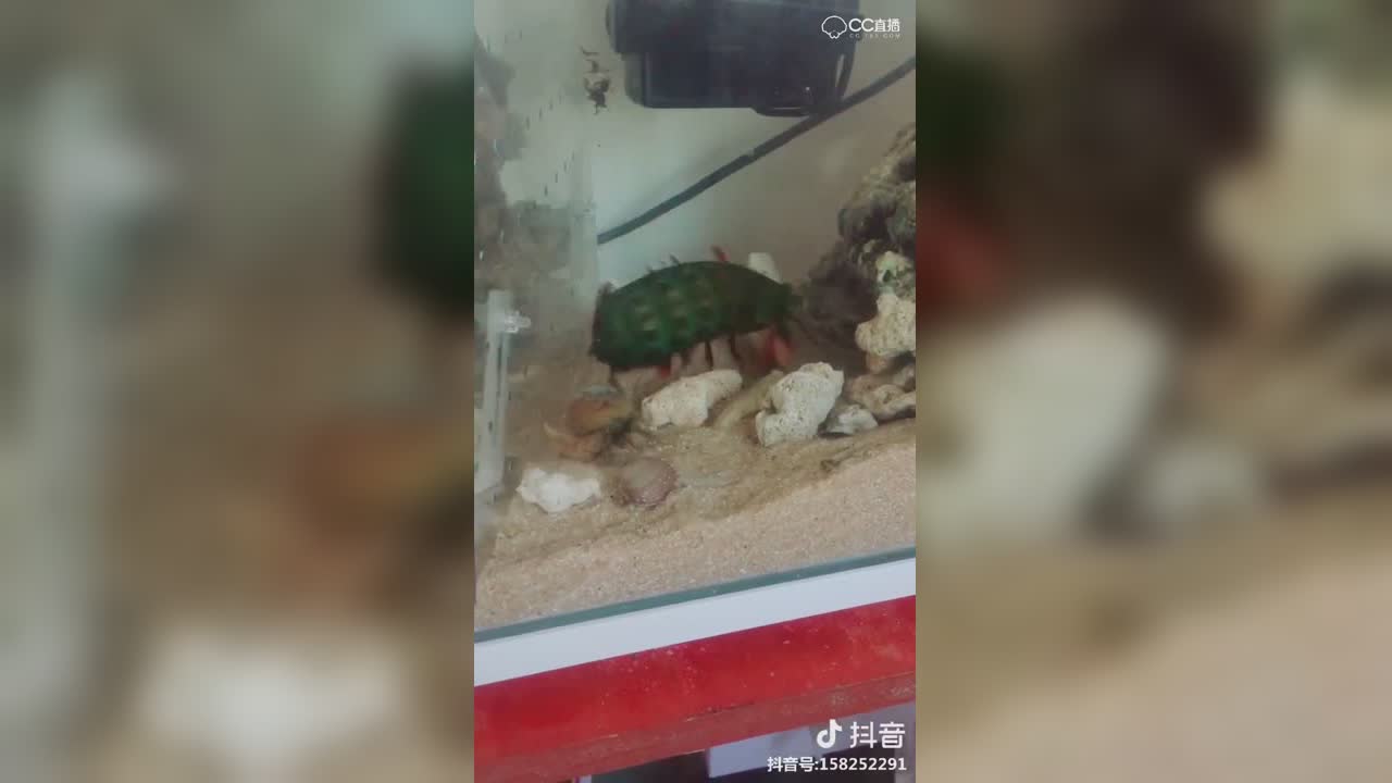 视频封面