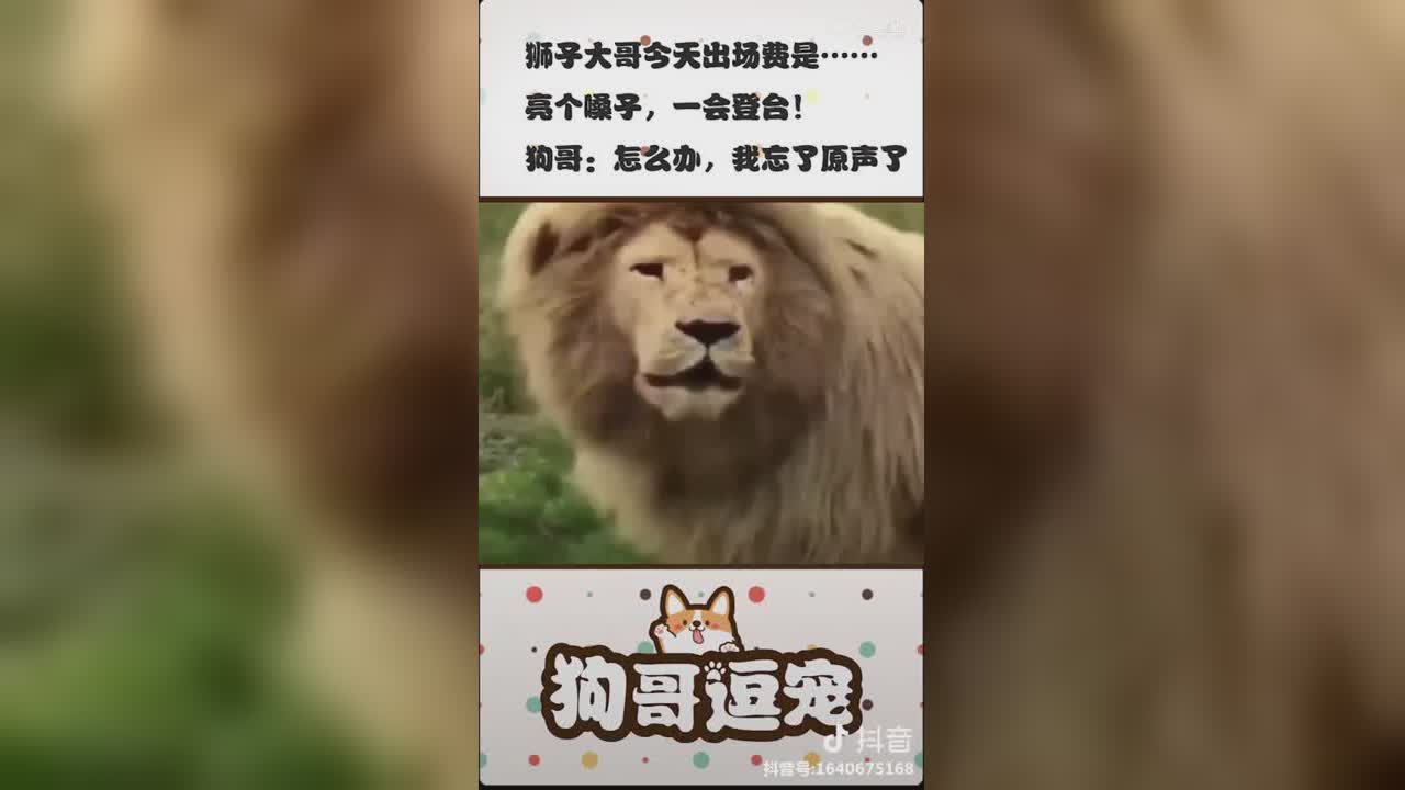 视频封面