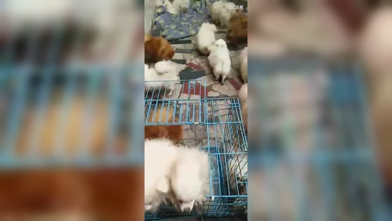 视频封面