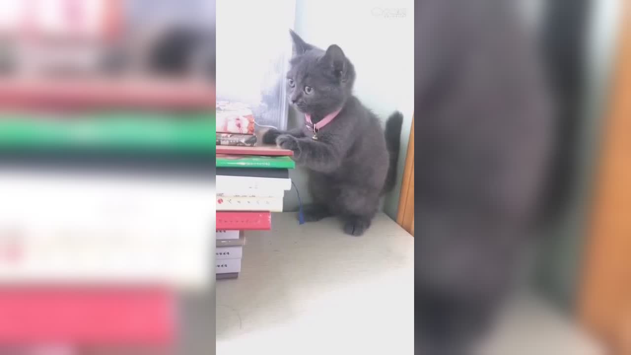 视频封面