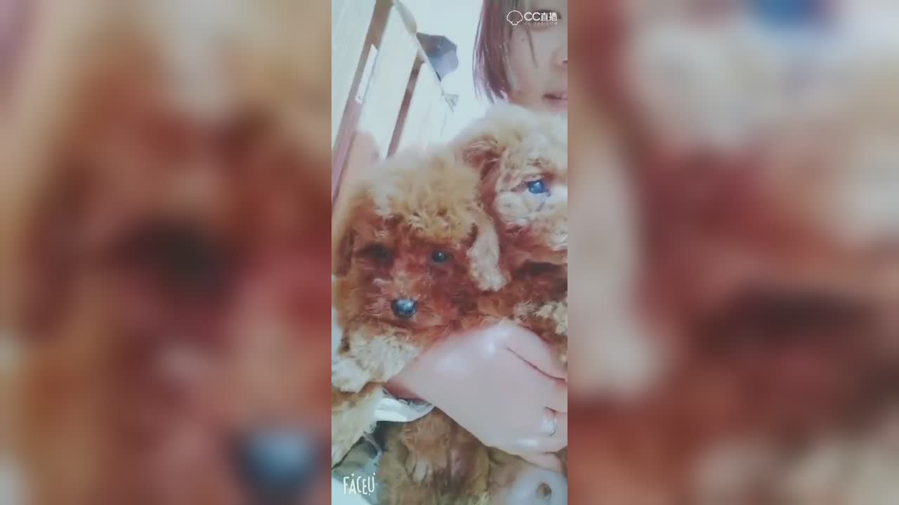 视频封面