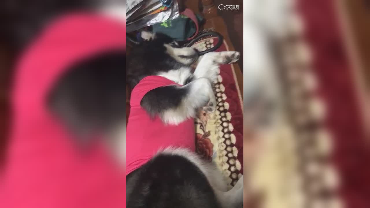 视频封面