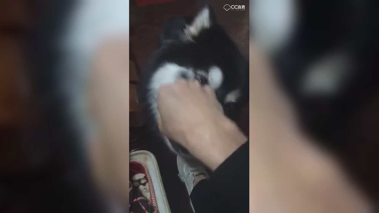 视频封面