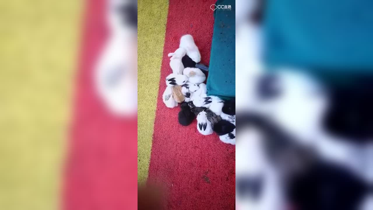 视频封面