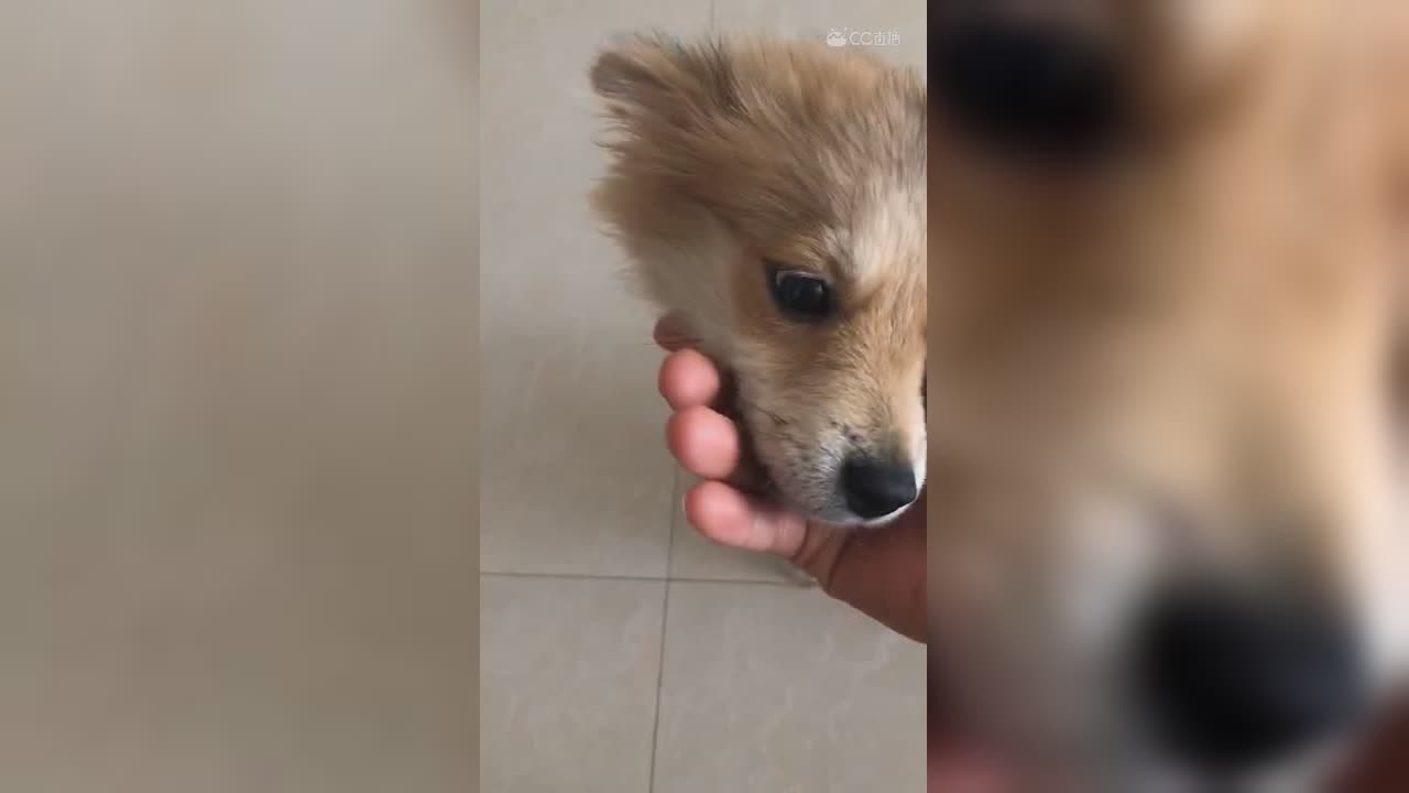 视频封面