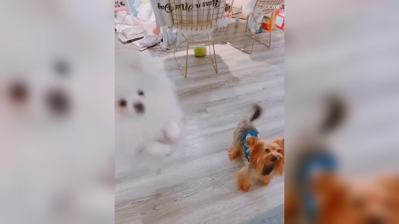 视频封面