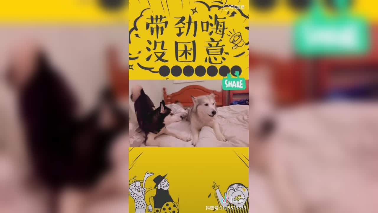视频封面