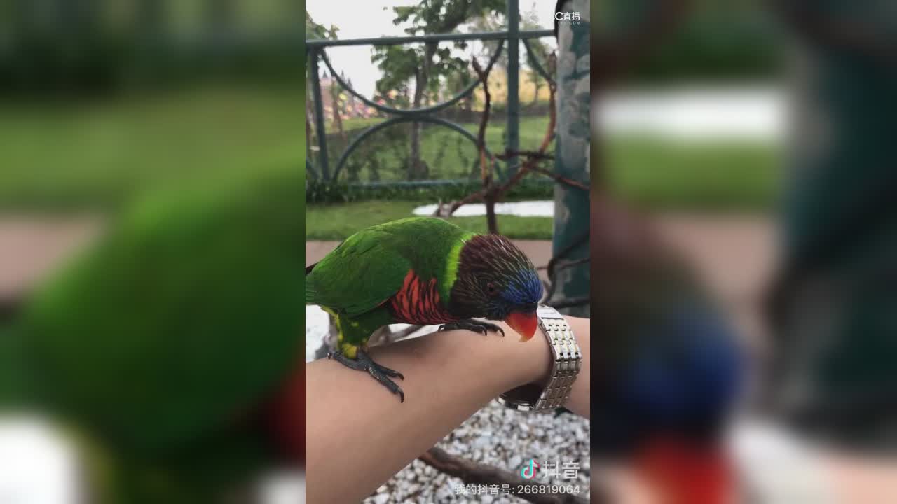 视频封面