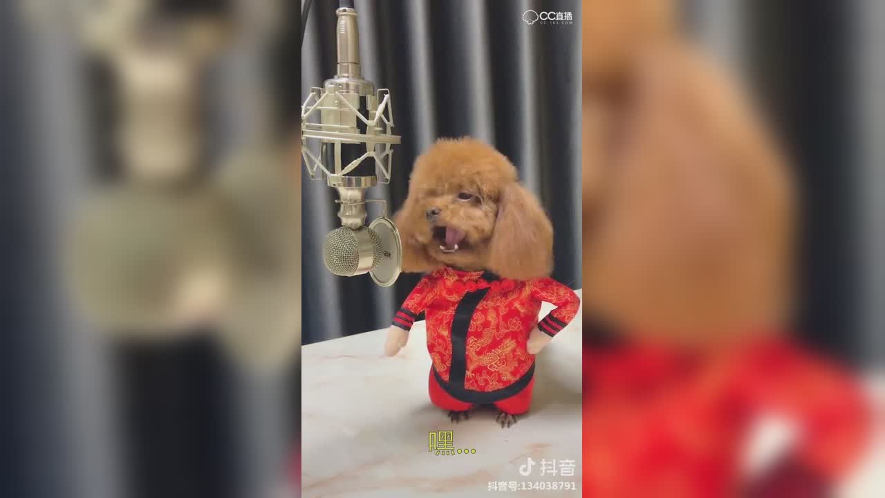 视频封面